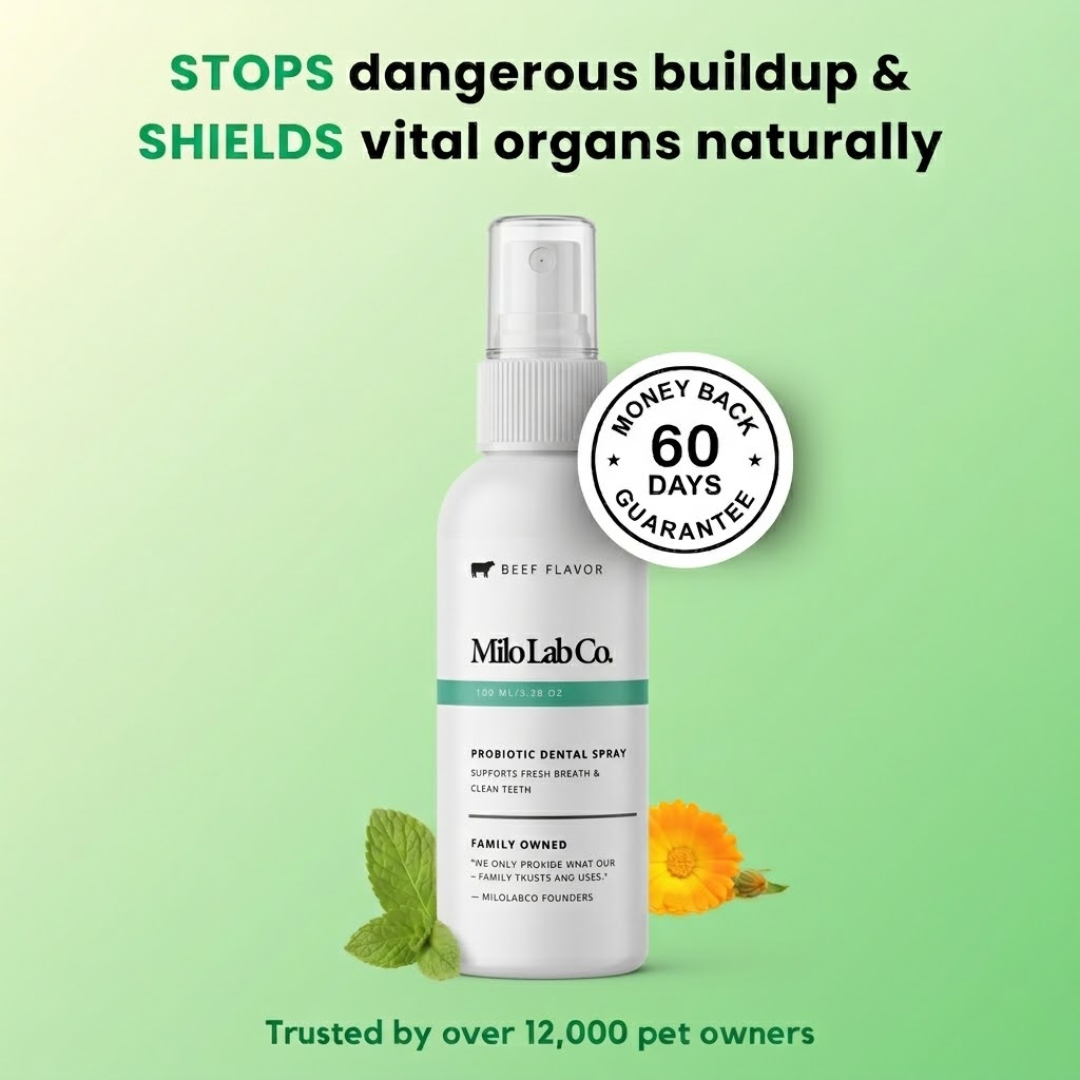 Milolabco™ Advanced Dental Spray.