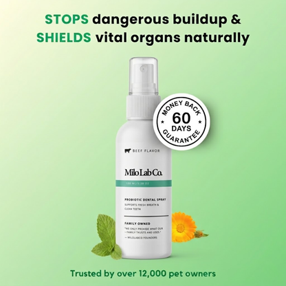 Milolabco™ Advanced Dental Spray.