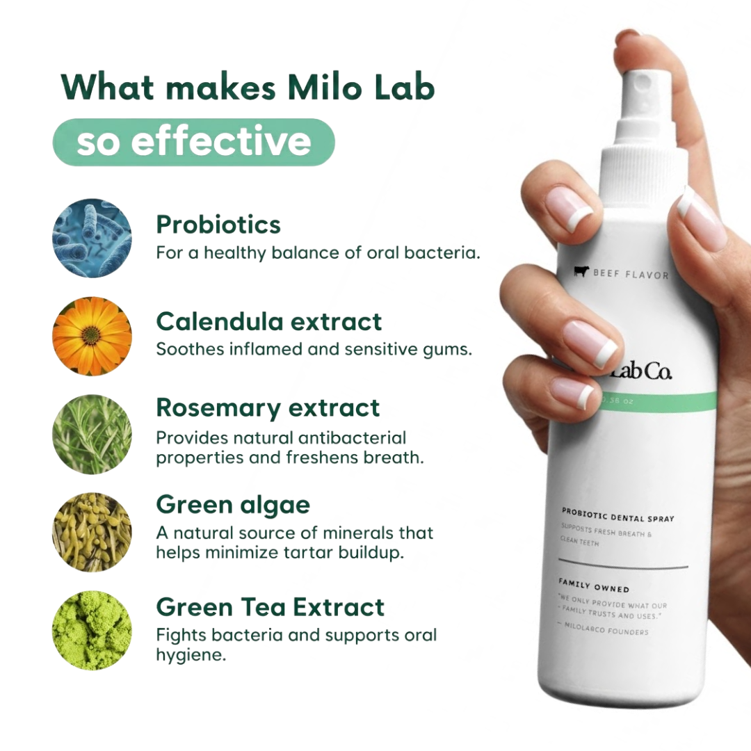 Milolabco™ Advanced Dental Spray.