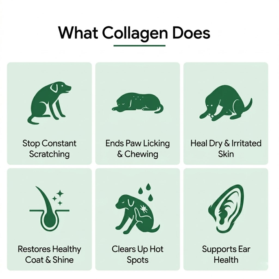 MiloLab™ Premium Liquid Collagen