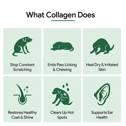 MiloLab™ Premium Liquid Collagen