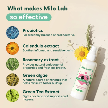 Milolabco™ Advanced Dental Spray