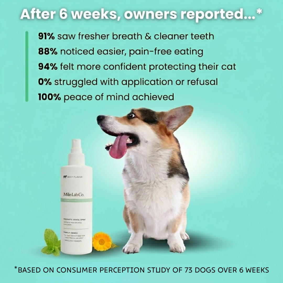Milolabco™ Advanced Dental Spray.