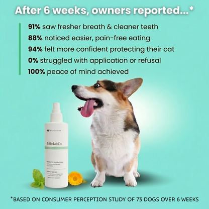 Milolabco™ Advanced Dental Spray.