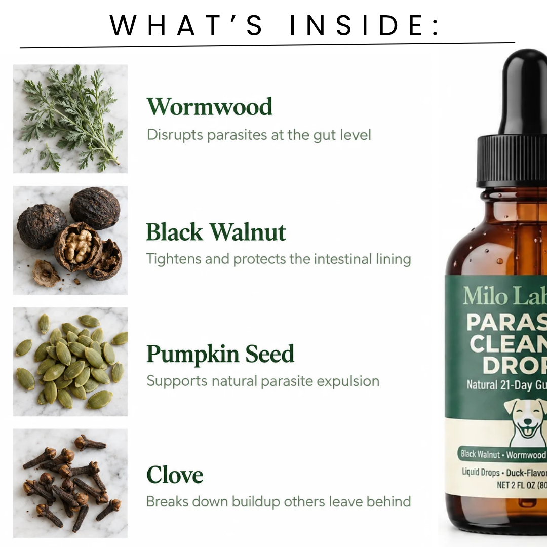 Milolabco™ Cleanse Drops
