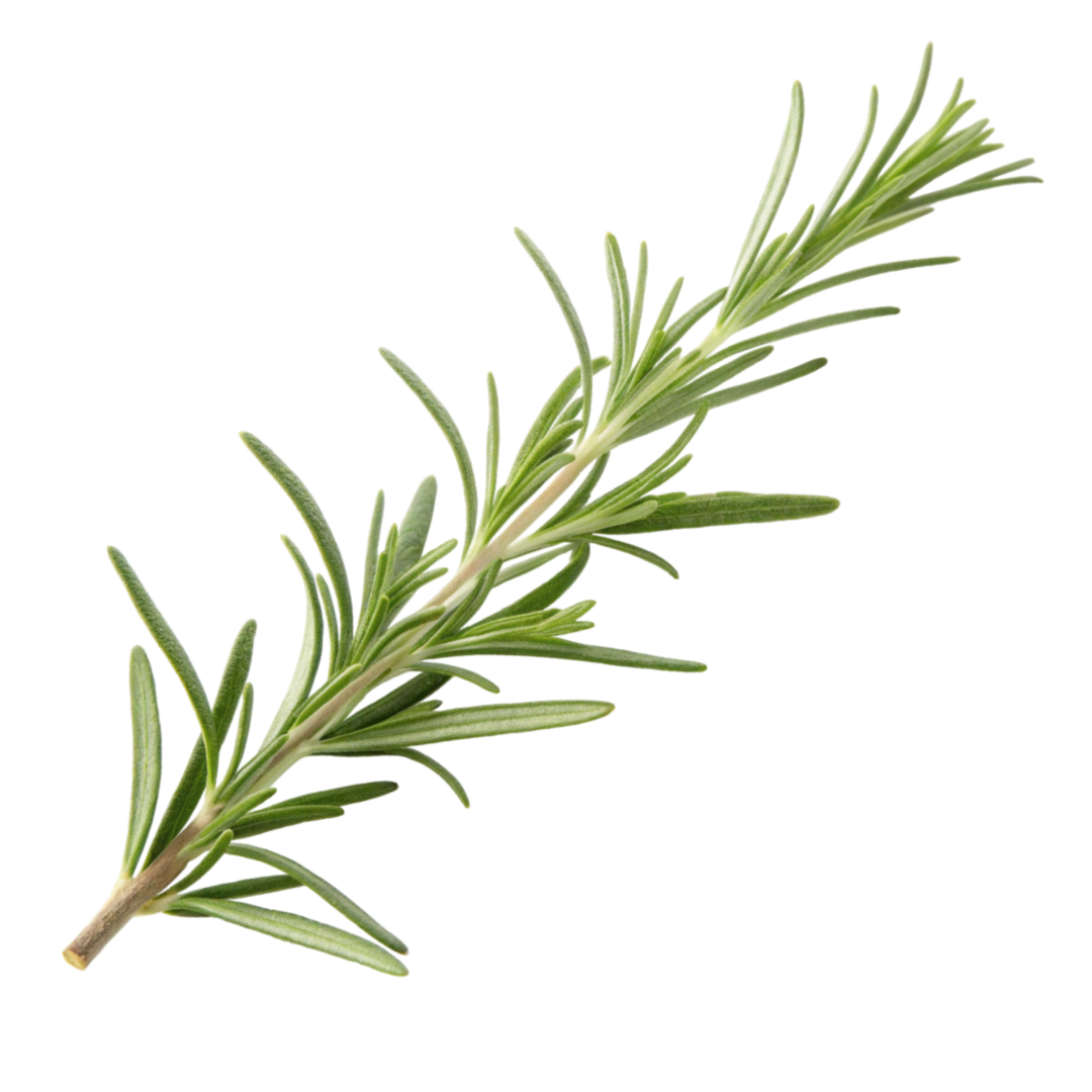 Milolabco™ Advanced Dental Spray