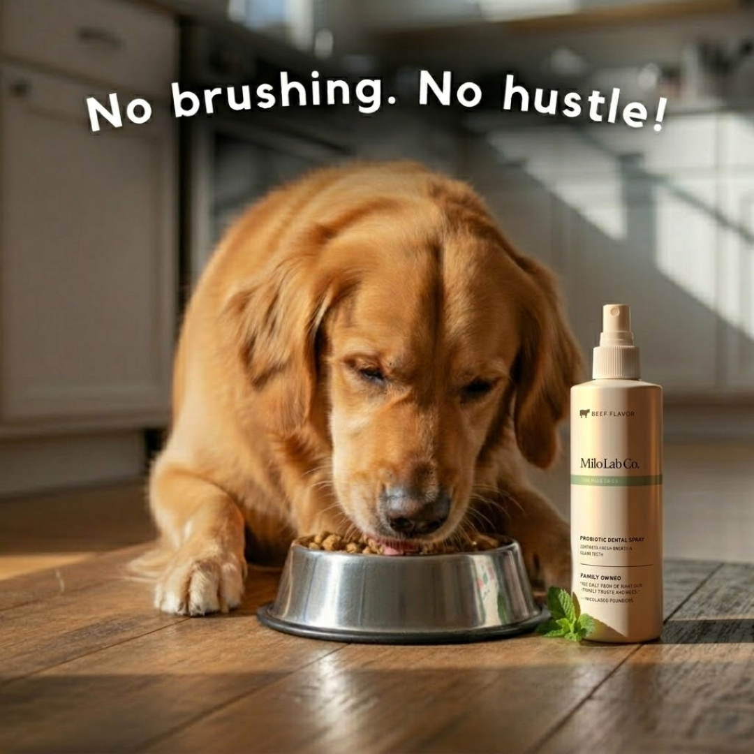 Milolabco™ Advanced Dental Spray.