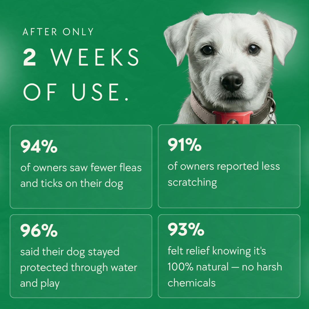Milolabco - Flea and Tick Tags