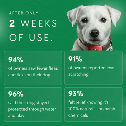Milolabco - Flea and Tick Tags