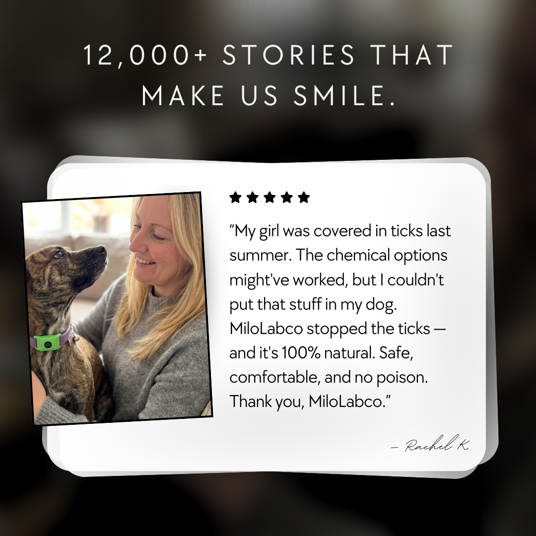 Milolabco - Flea and Tick Tags