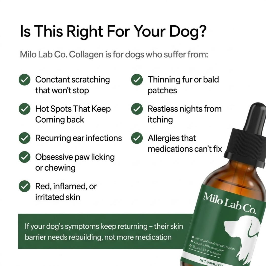 MiloLab™ Premium Liquid Collagen