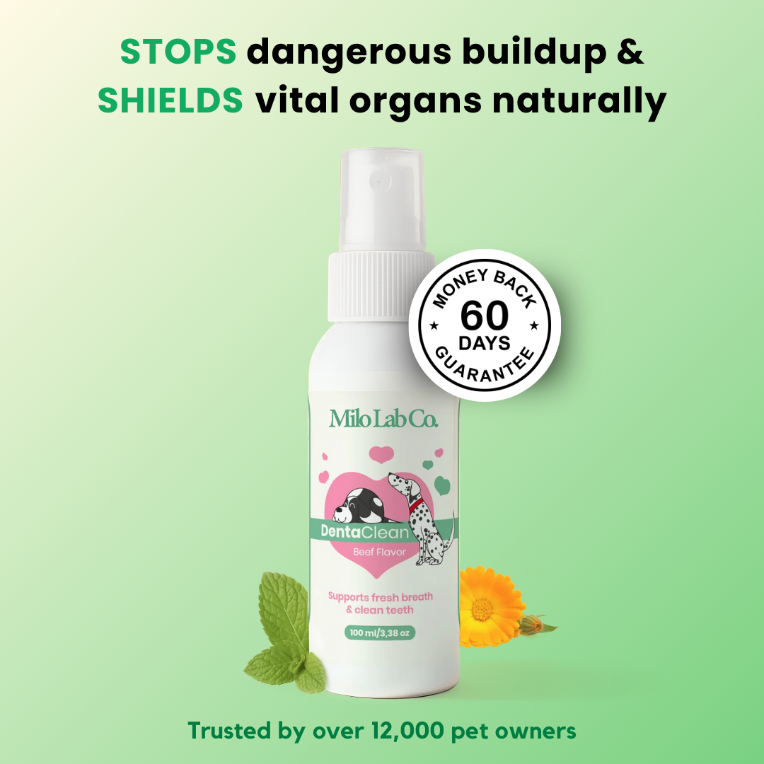 Milolabco™ Advanced Dental Spray