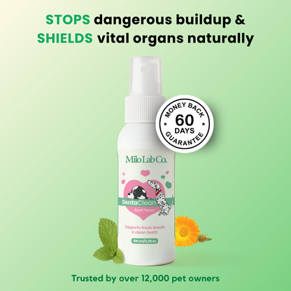 Milolabco™ Advanced Dental Spray
