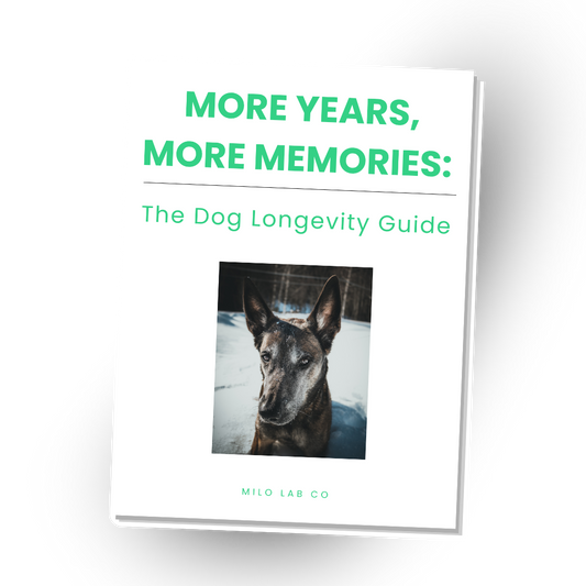 Milolabco™ The Dog Longevity Guide - Ebook