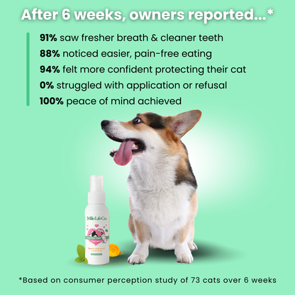 Milolabco™ Advanced Dental Spray