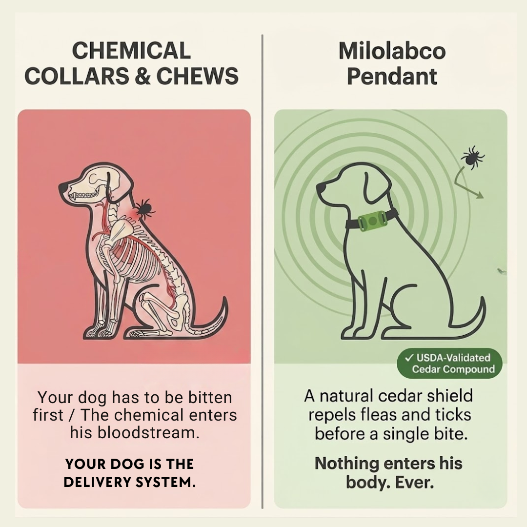 Milolabco - Flea and Tick Tags