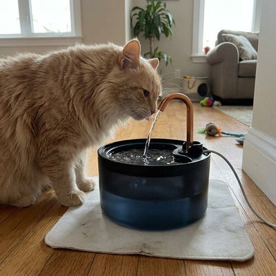 Real Hydration They Needed⠀⠀⠀⠀⠀⠀⠀⠀⠀⠀
